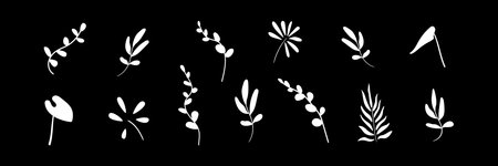 Set of flat tropical twigs. White isolated silhouettes of abstract plants. Set of 13 abstract plants on a black background. Use as design elements, stickers, tattoo, decoration, etc.のイラスト素材