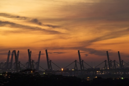 Cranesの写真素材