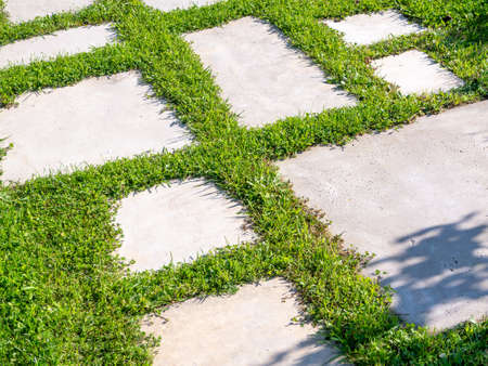 Gray walkway cover green grass in the park. Background, texture, wallpaperの写真素材