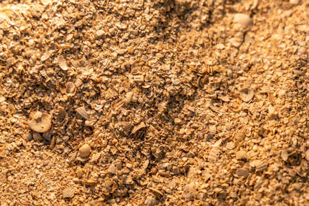 Finely crushed shells. Beach surface close-up. Shell particles. Texture or backgroundの写真素材