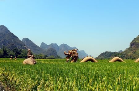 A straw dragon in a field in guilin chinaの写真素材