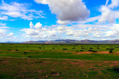Mongolia steppe landscape of infinite grasslands under beautiful cloud in blue slyの写真素材