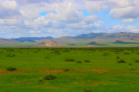 Mongolia steppe landscape of infinite grasslands under beautiful cloud in blue slyの写真素材