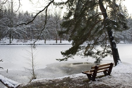 wet resting place in the forest on a lakeの写真素材