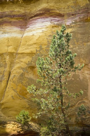 coloured nature in the ochre hills of South Franceの写真素材