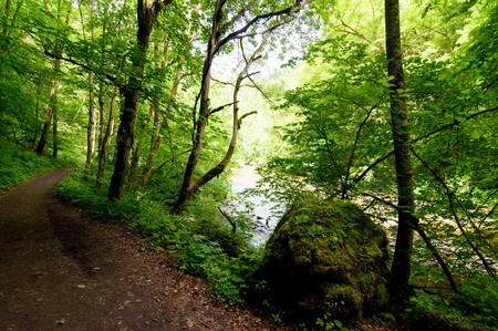 hiking trail in the Black Forest between rocks and river