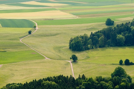 forest and grassland in summer in the Black Forest seen with birds eye view の写真素材
