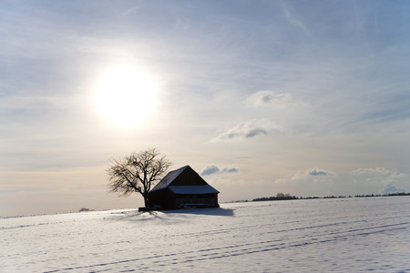 a wooden storage house beside a bare tree on a snow-covered high plain in front of a hazy sunny skyの写真素材