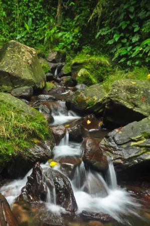 stoneの写真素材