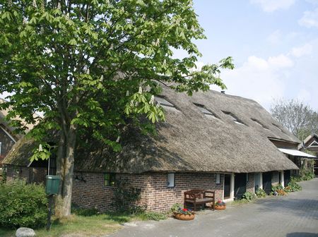 Old english style cottage with a thatched roofの写真素材