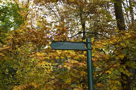 empty green sign in autumn forestの写真素材