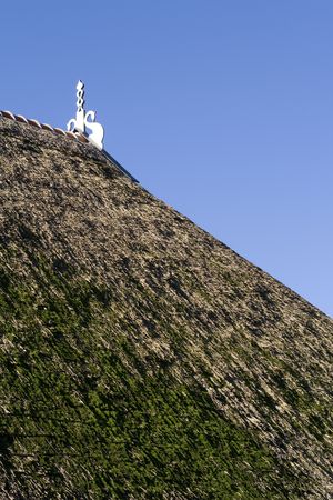 Thatched roof with original Frysian roof decoration in the Netherlandsの写真素材