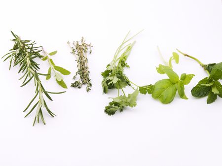 Green herbs. Rosemary, sage, thyme, coriander, basil, peppermint on white backgroundの写真素材