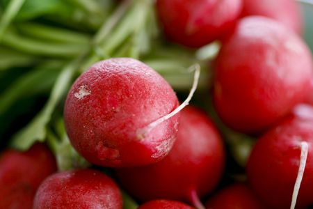Red radishes in closse up