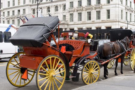 Horse carriages waiting for customers at the central park in New York Cityの写真素材