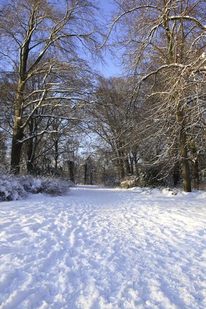 Sunshine on a snowcovered parkの写真素材
