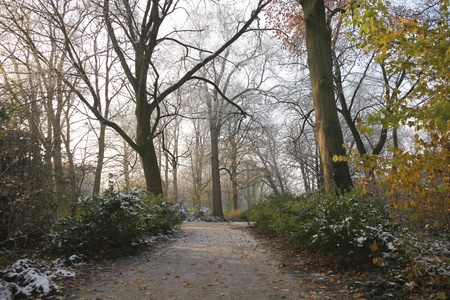 Snow and haze in fall parkの写真素材
