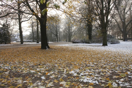 Winters day in fall parkの写真素材