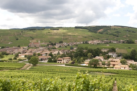 Beautful Burgendy wine villageの写真素材