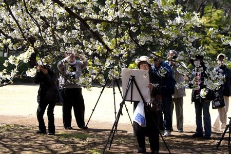 TOKYO, JAPAN - APRIL 2, 2009:  Photographing and painting the cherry blossoms during cherry blossom celebration (called hanami) in  Tokyo park on April 2, 2009 in Tokyo, Japan. のeditorial素材