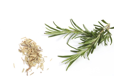 Rosemary の写真素材