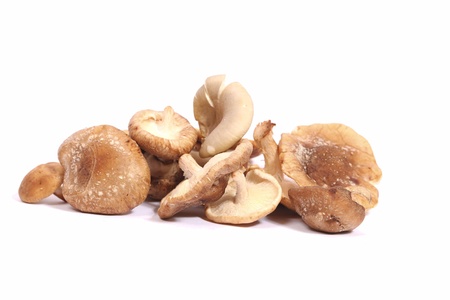 Bunch of shitake mushroomsの写真素材
