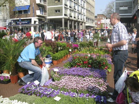 THE NETHERLANDS-CIRCA APRIL 22, 2011: People buying flowers on the yearly flowermarket on Good Friday in Groningen, the Netherlands, circa april 22, 2011のeditorial素材