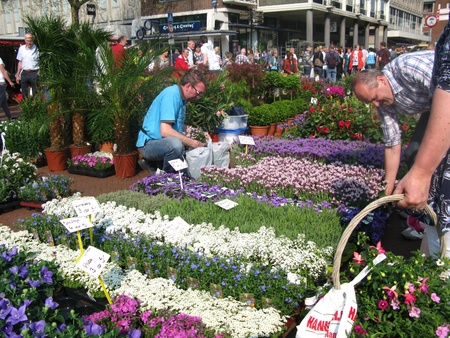 THE NETHERLANDS-CIRCA APRIL 22, 2011: Flower seller packing plants on the yearly flowermarket on Good Friday in Groningen, the Netherlands, circa april 22, 2011のeditorial素材
