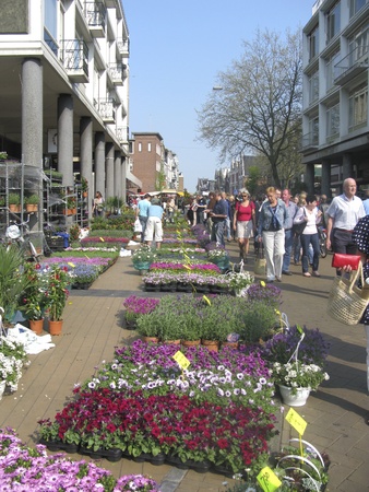 THE NETHERLANDS-CIRCA APRIL 22, 2011: People looking at the plants and flowers for sale on the yearly flowermarket on Good Friday in Groningen, the Netherlands, circa april 22, 2011のeditorial素材