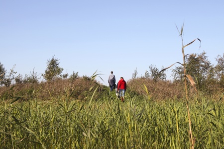 Family is walking through a nature reserve in the Netherlandsの写真素材