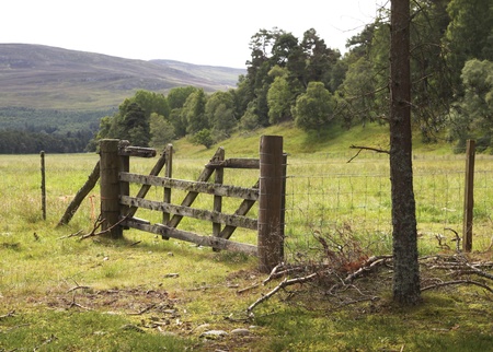 Wooden fence on a mountain pasture in Scotlandの写真素材