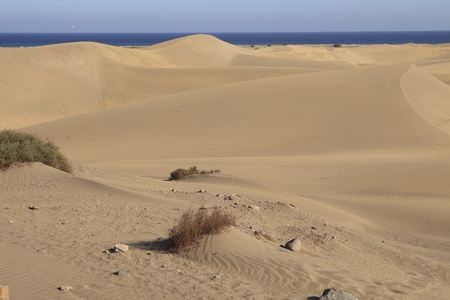 Large sand dunes near the ocean at Maspalomas in Gran canariaの写真素材