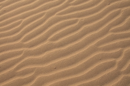 Sand texture in detailの写真素材