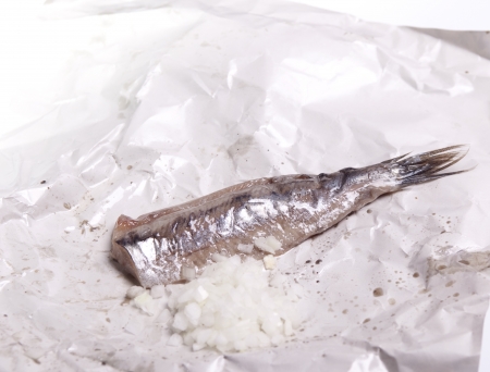Real Dutch treat: raw herring with onions の写真素材