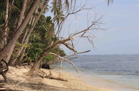 Tropical beach in Costa Ricaの写真素材