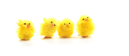Easter chickens decorations on a white backgroundの写真素材
