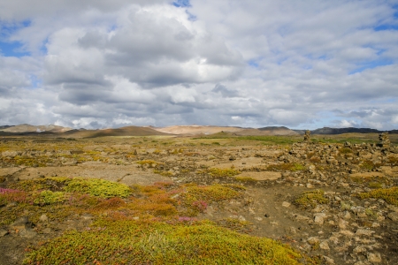 Landscape in Iceland in summerの写真素材