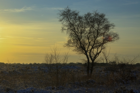 Setting sun on the heath in the Netherlands in winterのeditorial素材