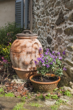 Terracota pot in Italian gardenの写真素材