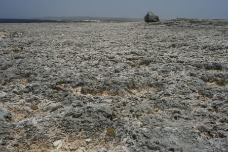 Beach at Bonaire made of lava with fossilesの写真素材