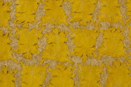 Saffron is used to color sheep hides yellow at the tannery  in Fez, Morocco.の写真素材