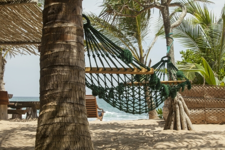 Romantic cozy hammock in the shadow of the palm on the tropical beach of a resort by the seaの写真素材