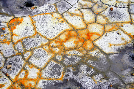 rusty colors on a volcanic soil with a beautiful pattern  Great as background の写真素材