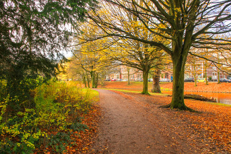 Path in fall parkの写真素材