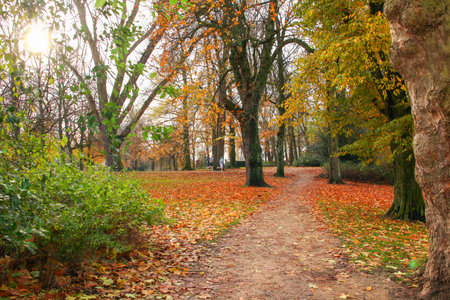 THE NETHERLANDS-NOVEMBER 16: Boys jogging in fall Noorderplantsoen in Groningen, の写真素材