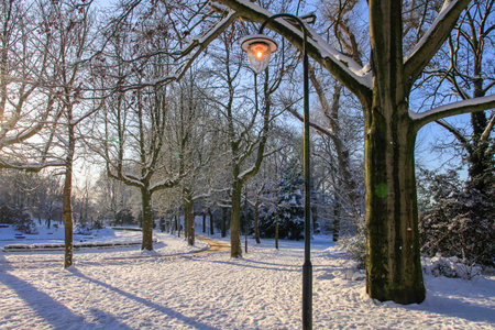 Lantern shining in snowy parkの写真素材