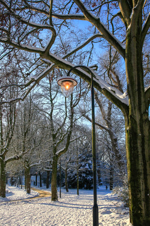 Lantern in snowcovered parkの写真素材