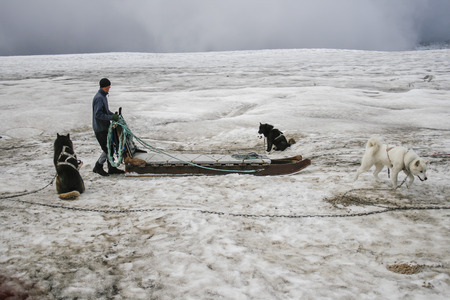 ICELAND-AUG 12  Dogsledding on a glacier in Iceland on Aug 12, 2007  Dog sledding is a big tourist attraction in Iceland  In summer dogsledding is done at the Langjkull glacier in South Iceland のeditorial素材