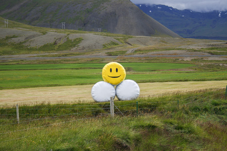Stacks of hay bales wrapped in white plastic and one yellow with a smiley on a meadow of a farm in Iceland

の写真素材