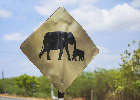 Elephant wanring sign on the road in Sri Lankaの写真素材